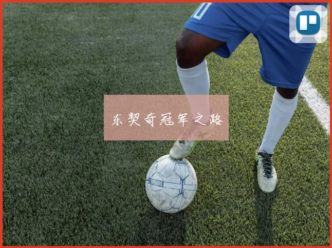 东契奇冠军之路