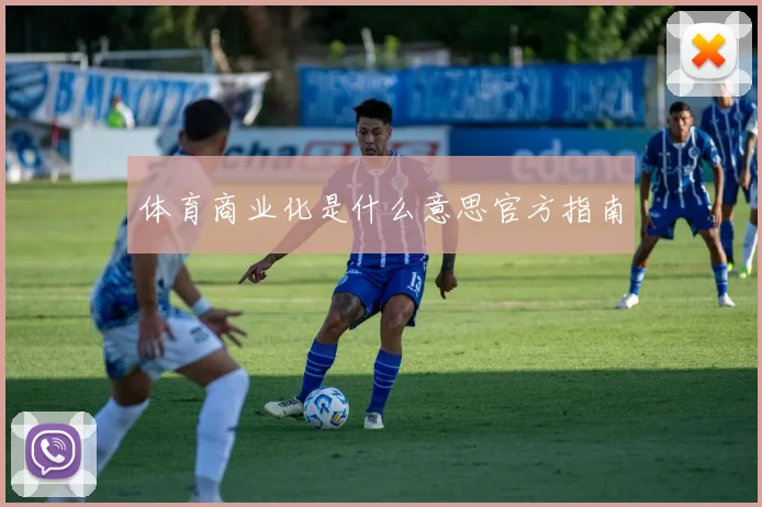 体育商业化是什么意思官方指南