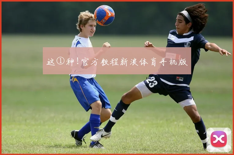 这①种!官方教程新浪体育手机版