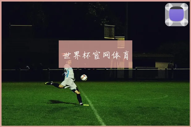 世界杯官网体育