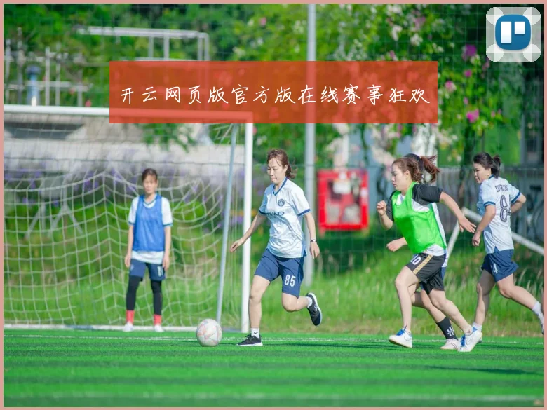 开云网页版官方版在线赛事狂欢