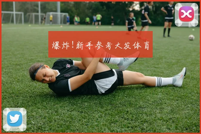 爆炸!新手参考大发体育