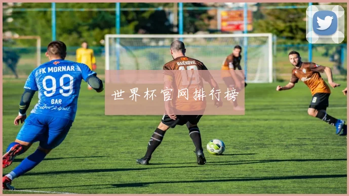 世界杯官网排行榜