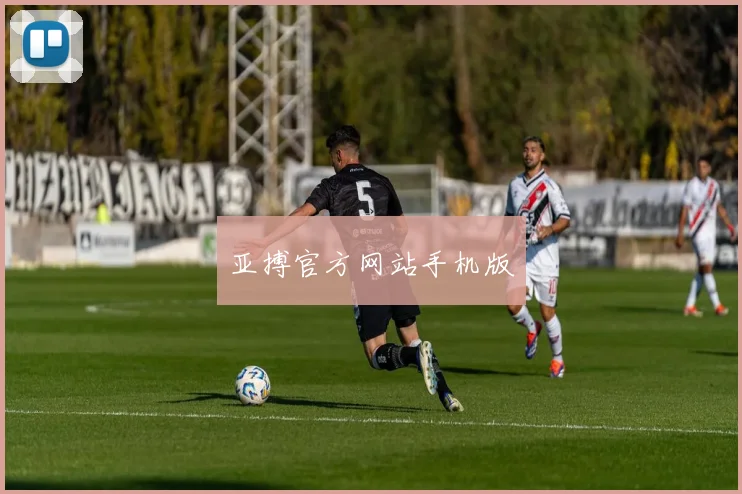 亚搏官方网站手机版
