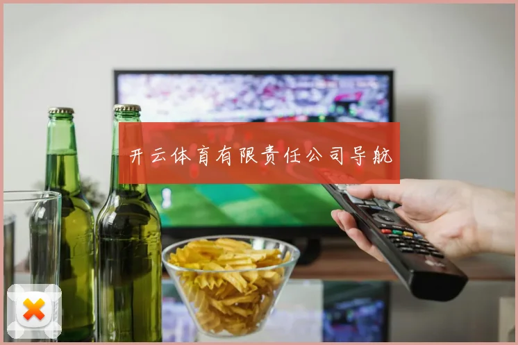 开云体育有限责任公司导航
