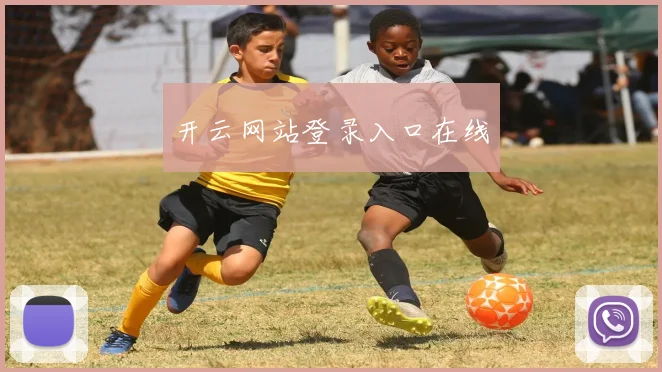 开云网站登录入口在线