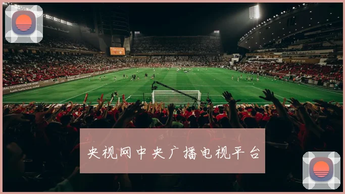 央视网中央广播电视平台