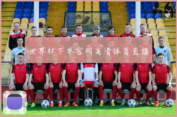 世界杯下单官网高清体育直播