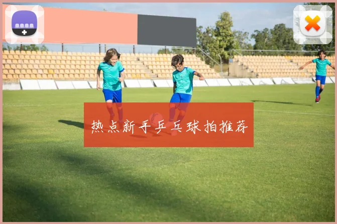 热点新手乒乓球拍推荐