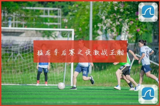 猛龙季后赛之夜激战正酣