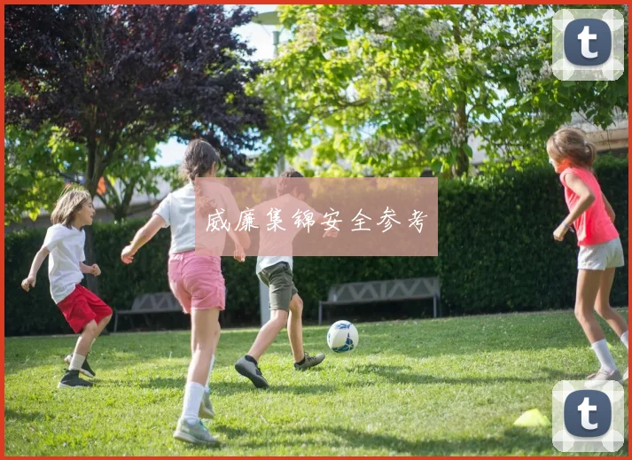 威廉集锦安全参考