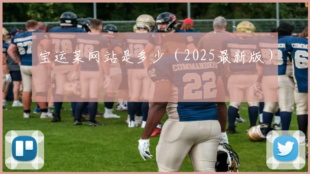 宝运莱网站是多少（2025最新版）