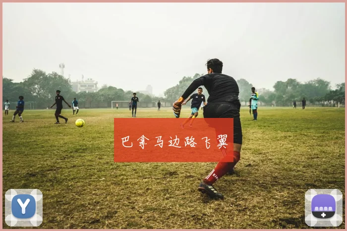 巴拿马边路飞翼