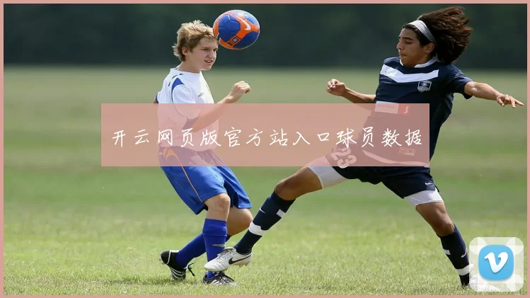开云网页版官方站入口球员数据
