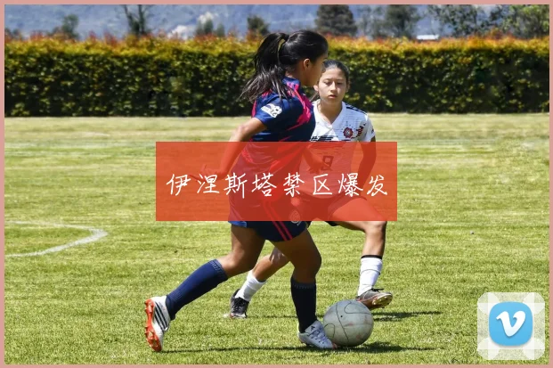 伊涅斯塔禁区爆发