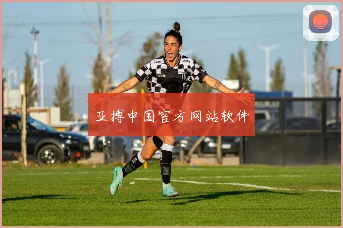亚搏中国官方网站软件