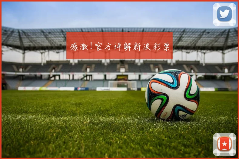 感激!官方详解新浪彩票