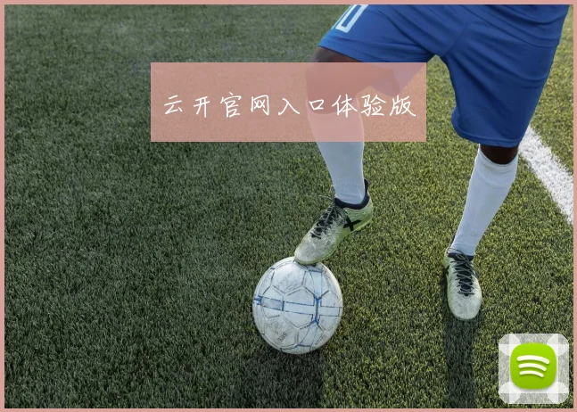 云开官网入口体验版