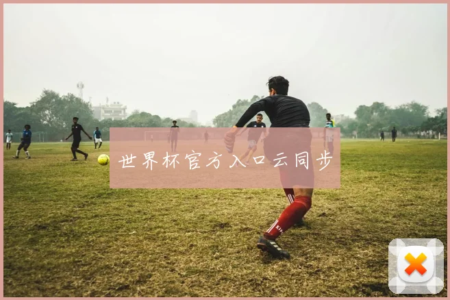 世界杯官方入口云同步