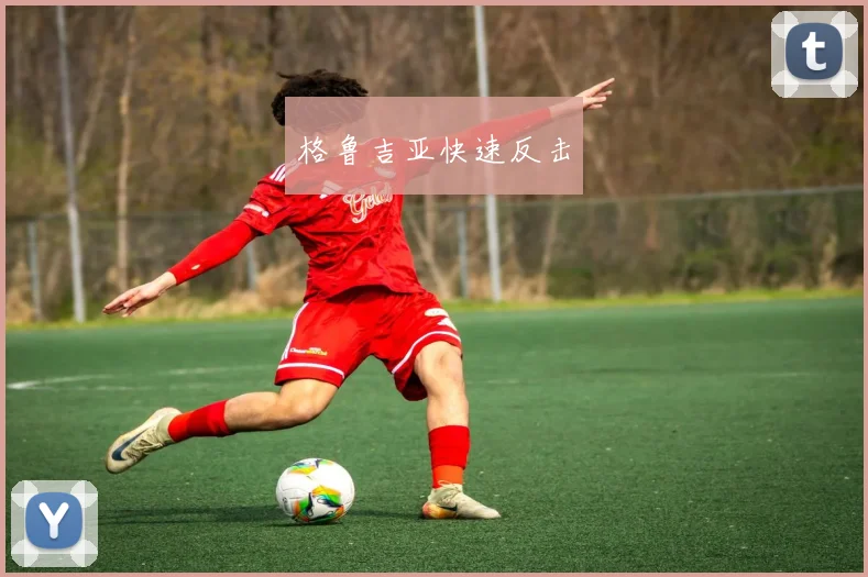 格鲁吉亚快速反击
