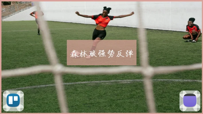 森林狼强势反弹