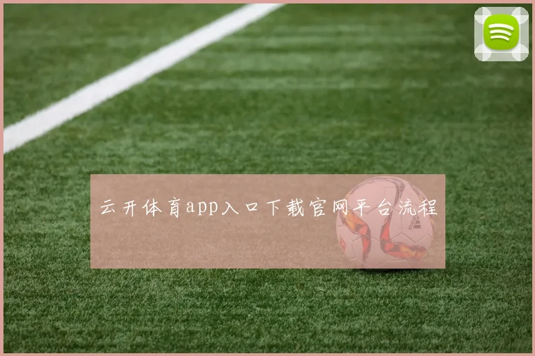 云开体育app入口下载官网平台流程