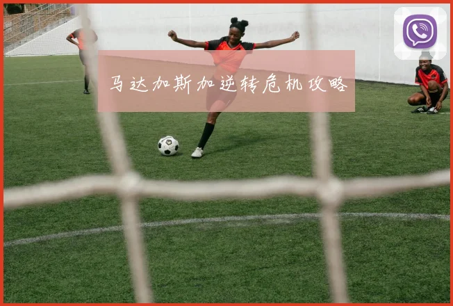 马达加斯加逆转危机攻略