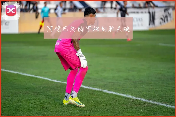 阿德巴约防守端制胜关键