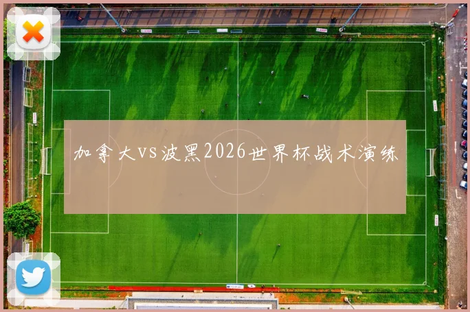 加拿大vs波黑2026世界杯战术演练