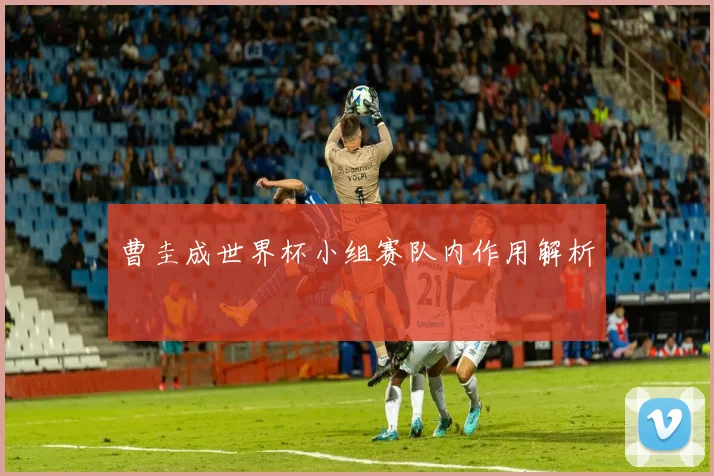 曹圭成世界杯小组赛队内作用解析