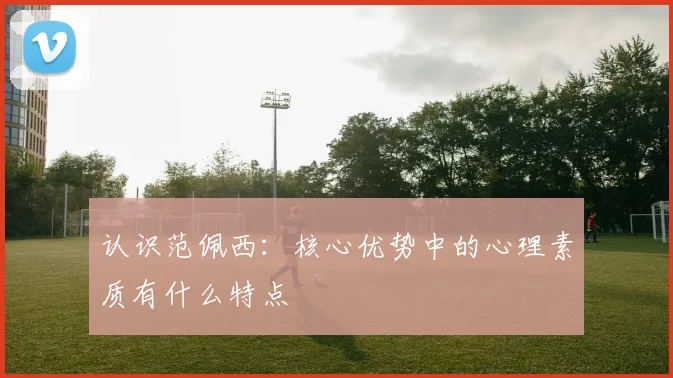 认识范佩西：核心优势中的心理素质有什么特点