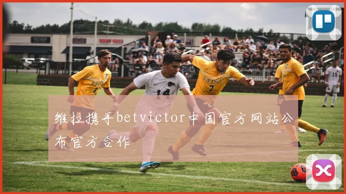 维拉携手betvictor中国官方网站公布官方合作